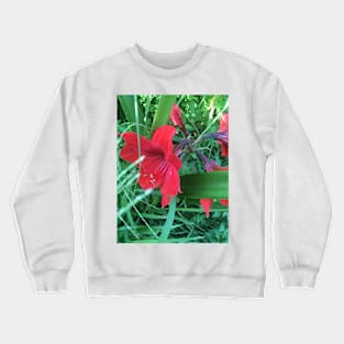 Amaryllis Surprise Crewneck Sweatshirt